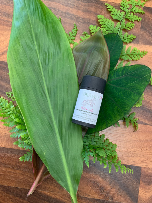 Kukui & Mango Butter Deodorant